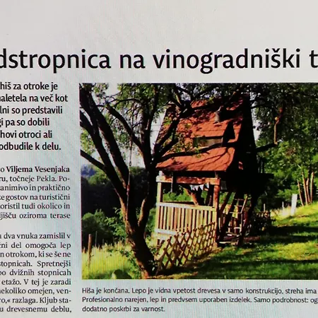 Vesenjak * Maribor