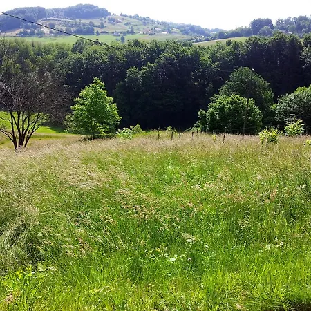 Vesenjak * Maribor