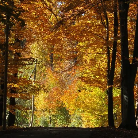 Vesenjak Hébergement de vacances Maribor